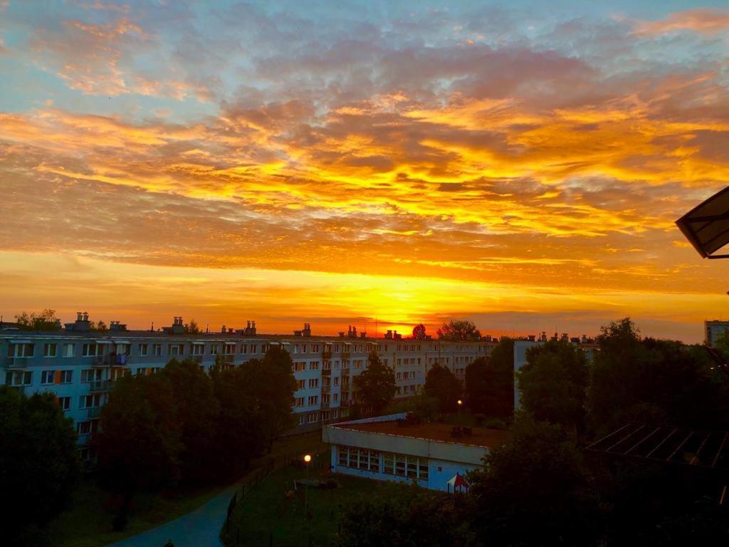 Na Okulickiego - Centrum !! Apartment Stalowa Wola